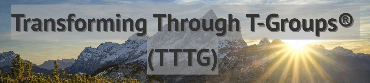 Transforming Through T-Groups® (TTTG)