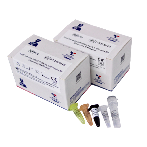 Real Time PCR Kit