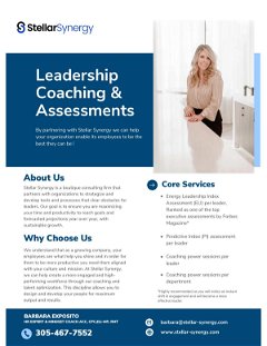 Leadership Coaching & Assessments with Stellar Synergy