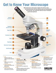 Get to Know Your Microscope