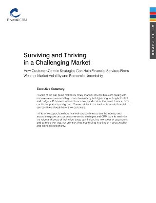 Surviving and Thriving in a Challenging Market: How Customer-Centric Strategies Can Help FS Firms