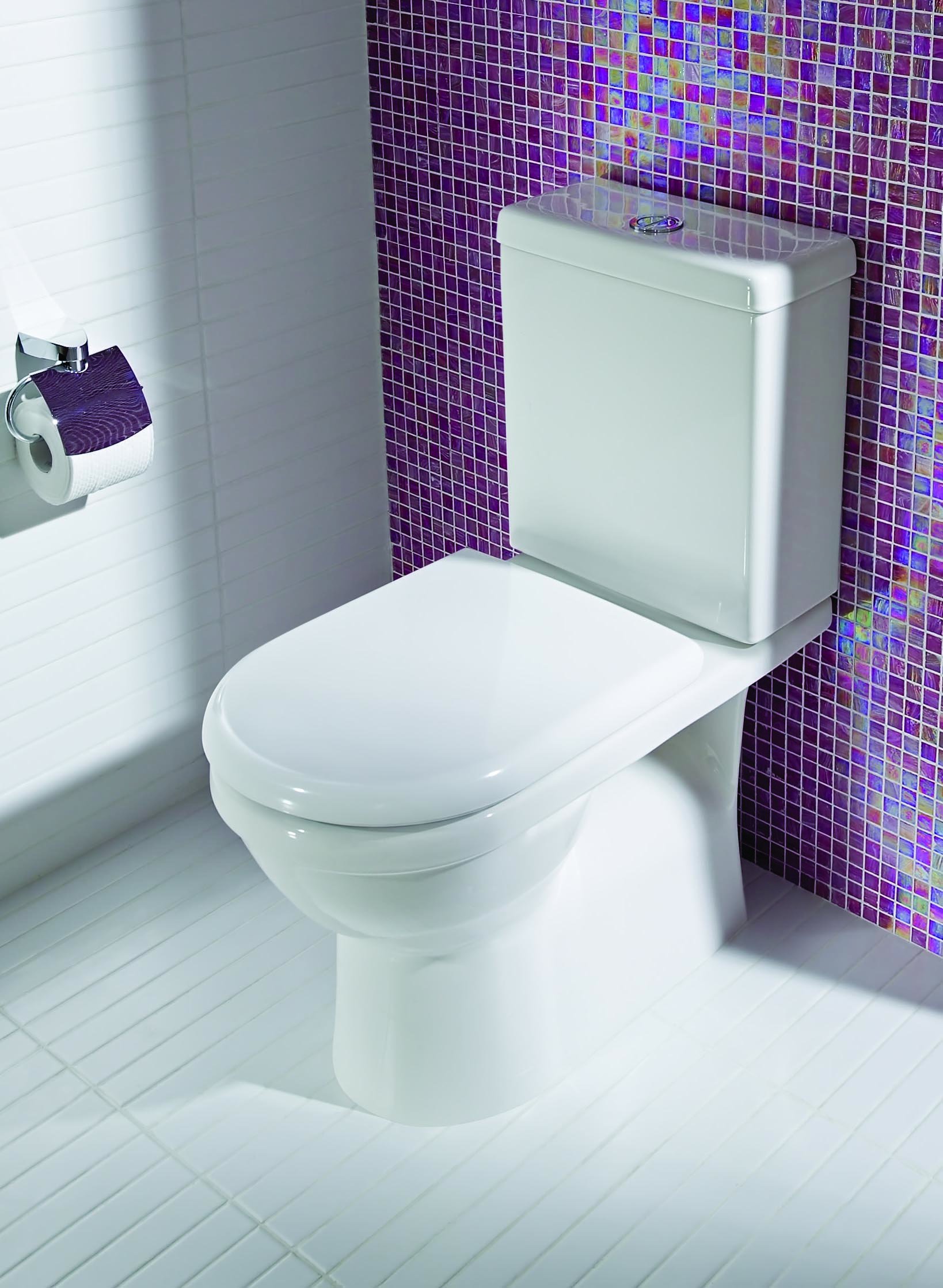 Adelaide high efficiency dual flush toilet
