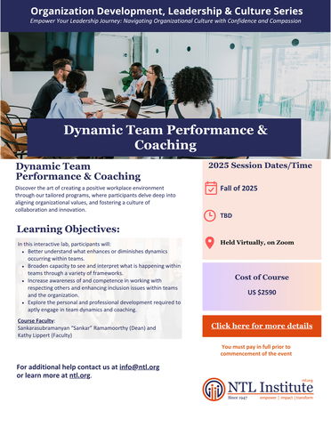 Organization Development, Leadership & Culture Series: Dynamic Team Performance & Coaching