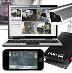 LIVE LINK