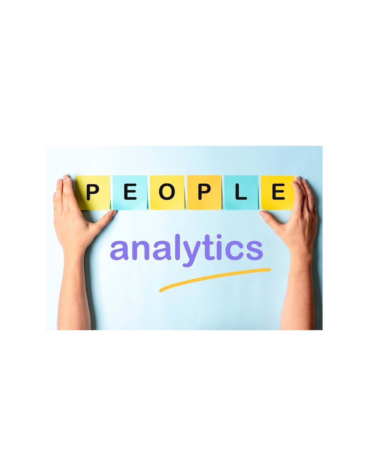 Building and Scaling a People Analytics Function