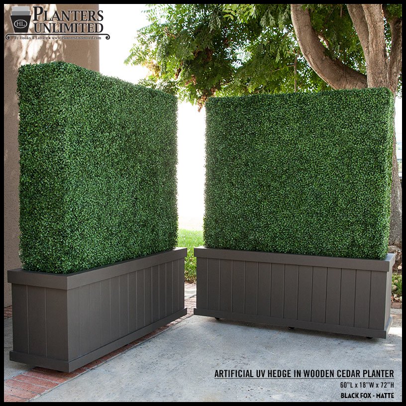 Boxwood Hedges in Planters