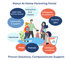 Parenting Solutions Portal