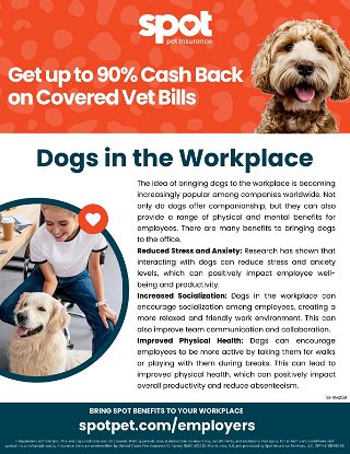 Dogs in the Workplace | Overview 