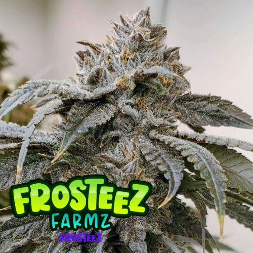 Frosteez by Frosteez Farmz