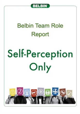 Individual Belbin Report (Self-Perception)