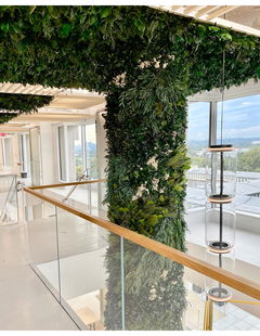 Garden on the Wal: A Workplace Transformed into Multi-Dimensional Biophilic Journey