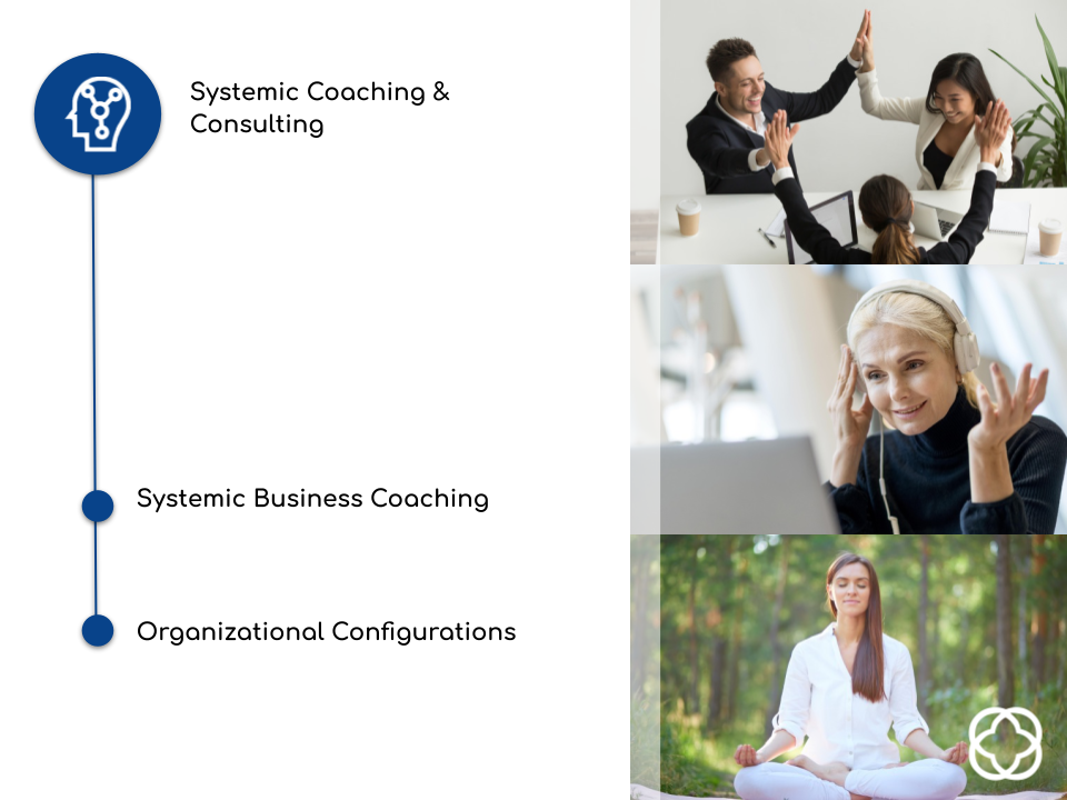 Systemic Coaching & Consulting