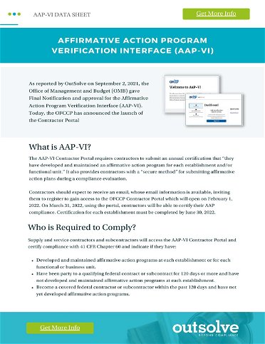 What is the Affirmative Action Program Verification Interface (AAP-VI) 
