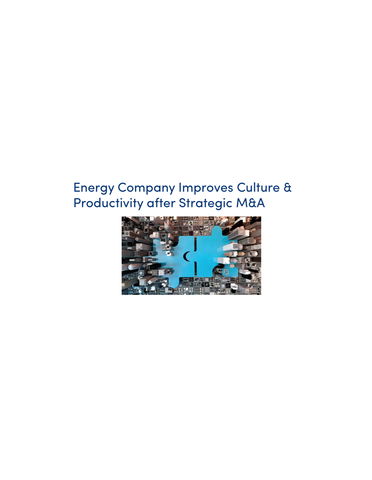 Energy Company Improves Culture & Productivity after Strategic M&A