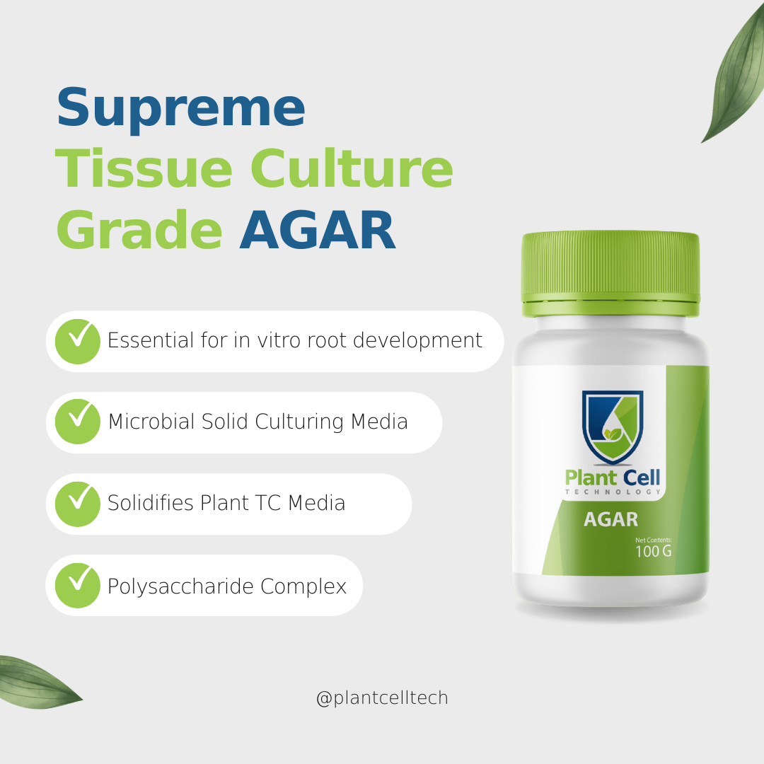 Supreme Tissue Culture Grade Agar
