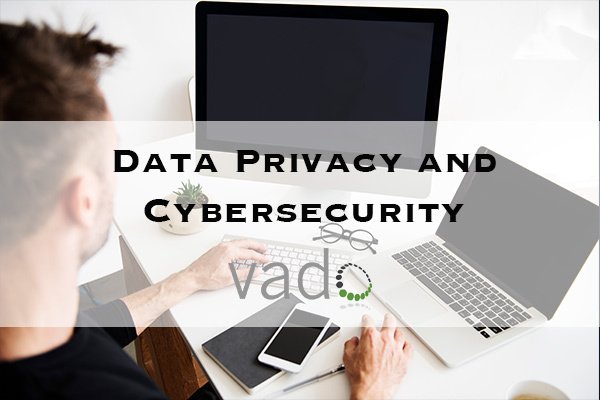 Data Privacy and Cybersecurity (Online Course)