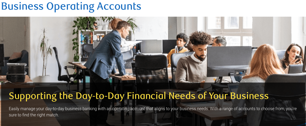 Business Operating Accounts