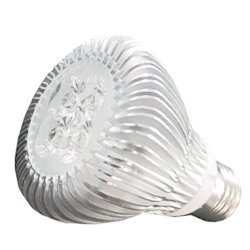 LEDStar™ LED Par Light Retrofit