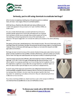 You're Still Using Chemicals to Kill Bed Bugs