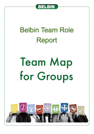 Group Belbin Team Role Map