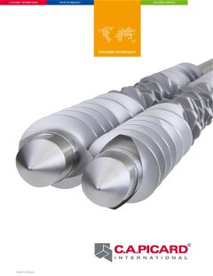 Twin Screw Extruder Flyer