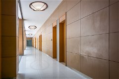Synergy | Decorative Pendants and Flush-Mount Fixtures