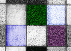 Plastic Concentrates and Compounds