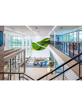 Garden on the Wall: Biophilic Design @ Life Sciences