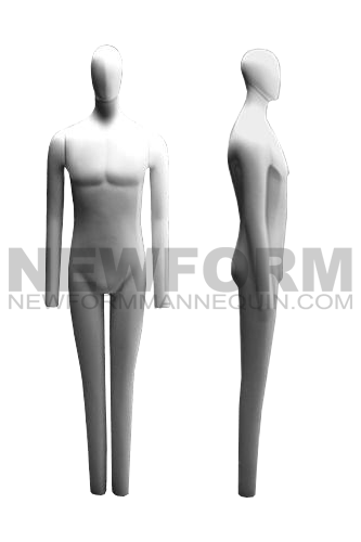 Abstract Universal Mannequin
