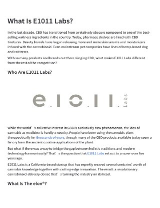What is E1011 Labs?