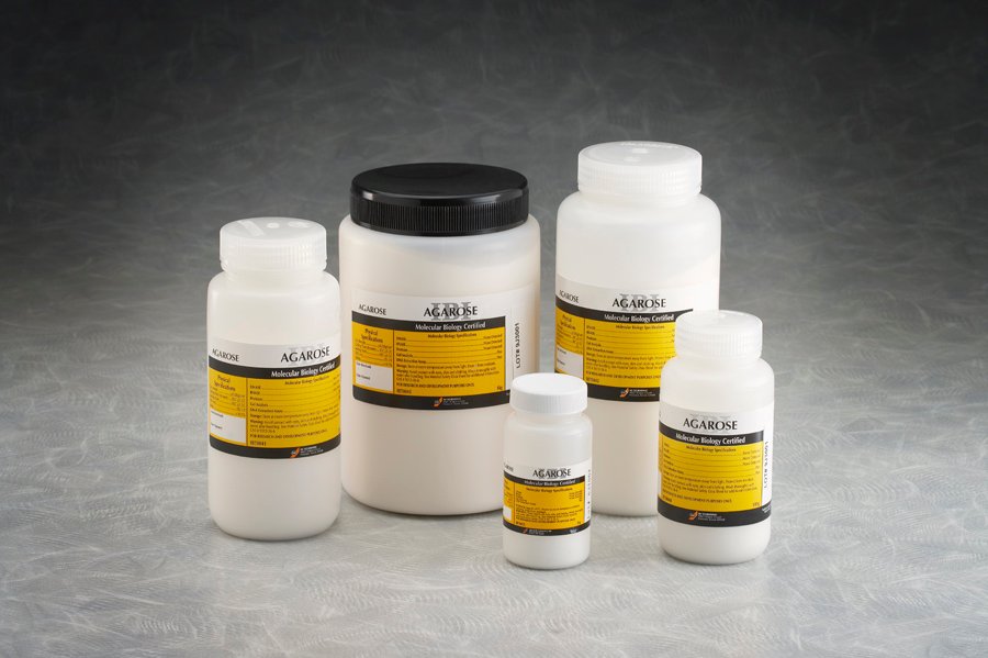 Agarose