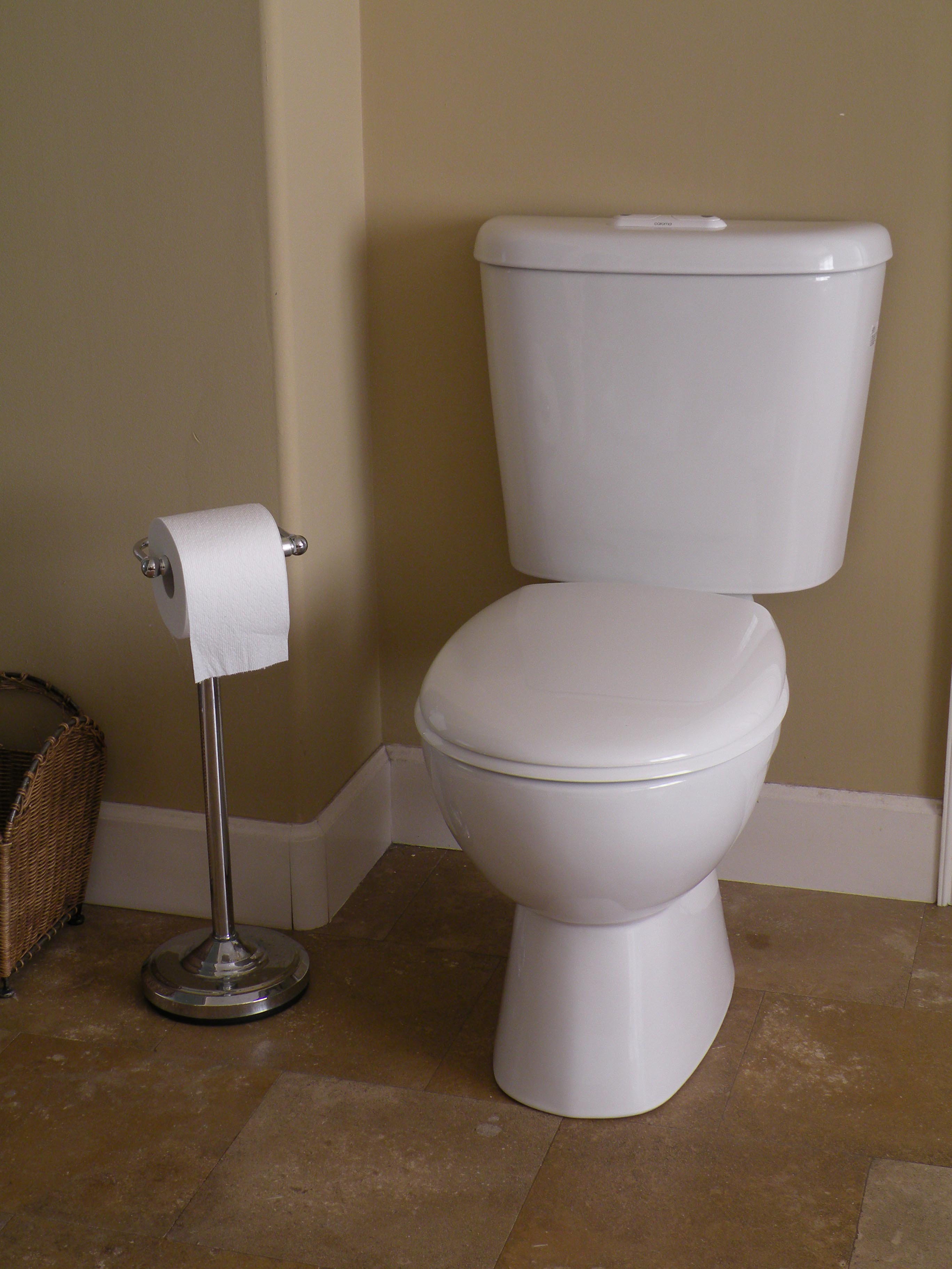 Sydney Smart back outlet high efficiency dual flush toilet