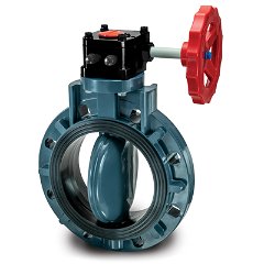 Type 58 Elastomer Seated Butterfly Valves