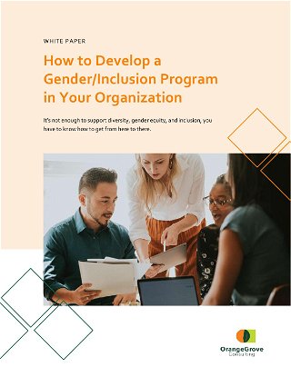 How to Develop a Gender/Inclusion Program  in Your Organization