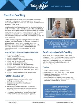 Executive Coaching Program