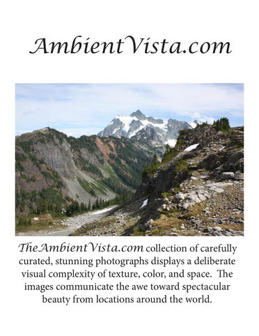 Ambient Vista Gallery Store