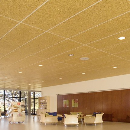 BIOLINE® Wood Ceiling Tiles