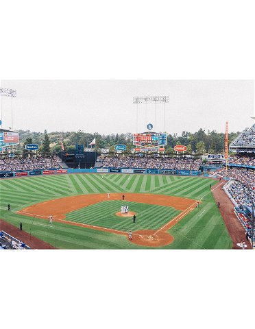 ⚾ Hitting It Out of the Park: The Search for an All-Star VP of Software Sales