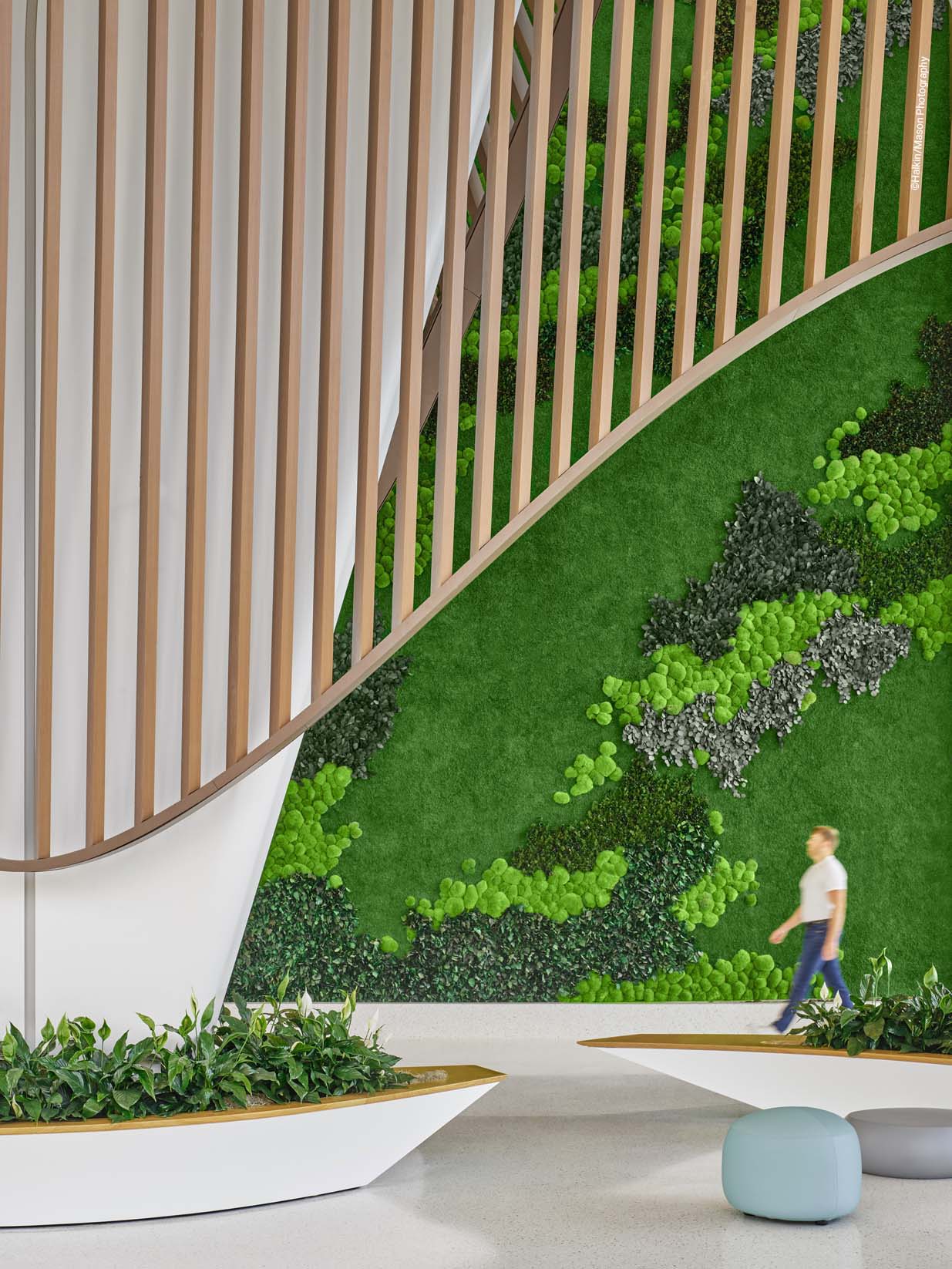 Garden on the Wall Gardens with Moss & Foliage