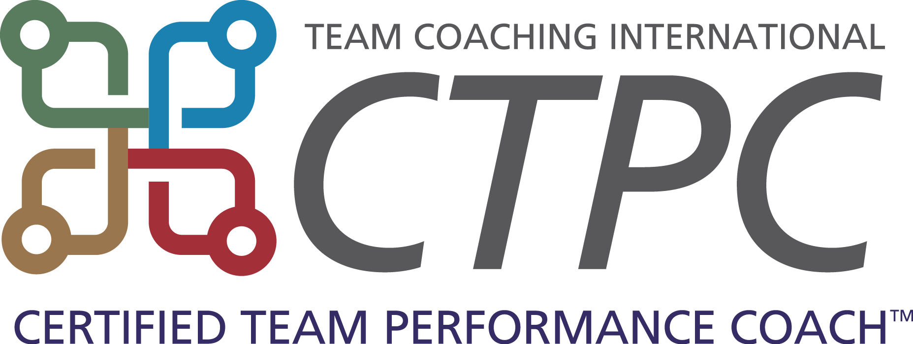 Team Performance Coaching