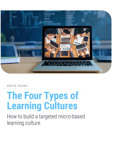 The Four Types of Learning Cultures 