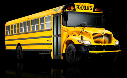 School Route Buses