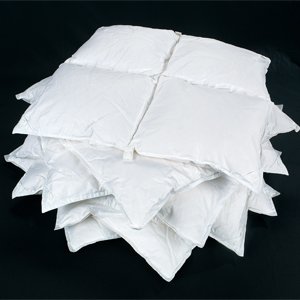 Down Duvet Inserts