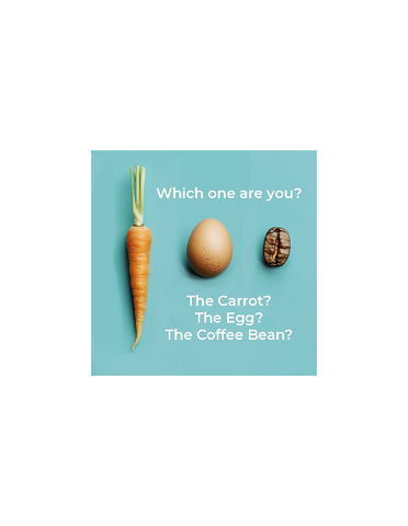 Are you the carrot, the egg or the coffee bean? How do you embrace Change?