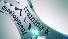 Organizational Development