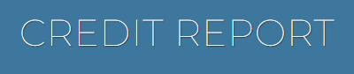 Credit Report