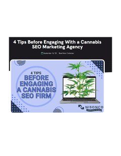 4 Tips Before Engaging a Cannabis SEO Agency