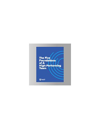 The Five Foundations of A High Performing Team eBook