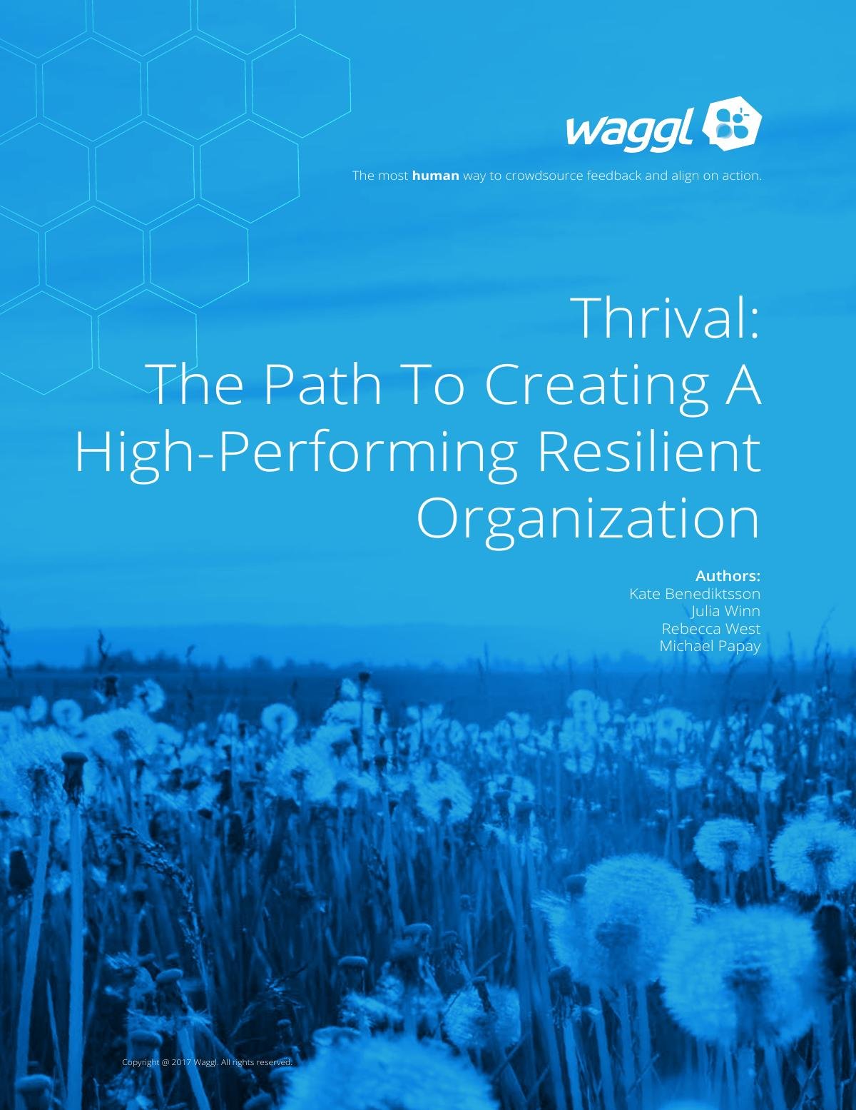 Thrival: The Path to Creating a High-Performing, Resilient Organization