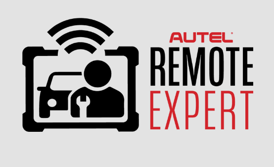 Remote Expert